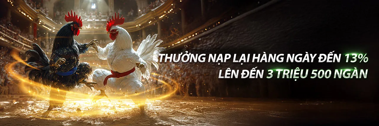 Đá Gà Trực Tuyến SC882